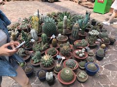 -南通洲际绿博园