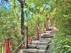 -少华山国家森林公园