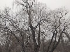 -北京动物园