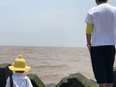 -南汇嘴观海公园