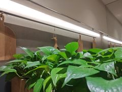 -汤城小厨•粤菜•靓汤(西直门凯德MALL店)