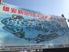 -白洋淀景区