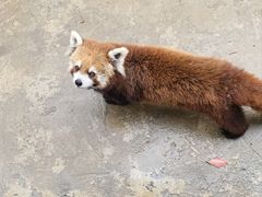 -杭州野生动物世界