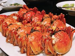 -皇朝会.经典传统粤菜(外滩店)