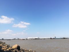 -吴淞炮台湾湿地森林公园烧烤区