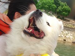 -千岛湖-欢乐水世界
