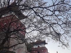 -颐和园