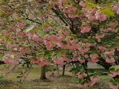 -江南大学(蠡湖校区)