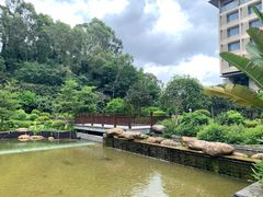 -南宁荔园维景国际酒店·荔园中餐厅