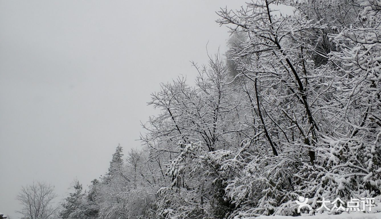 不滑雪也要带滑雪手套，暖宝宝