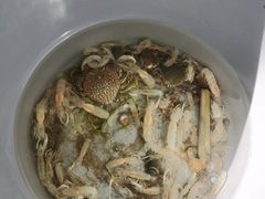 -东戴河风景区-止锚湾