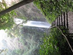 -莫里热带雨林景区
