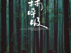 -山王坪喀斯特国家生态公园