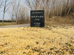 -汉长安城未央宫国家考古遗址公园