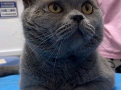 -宠福鑫动物医院(望京分院)