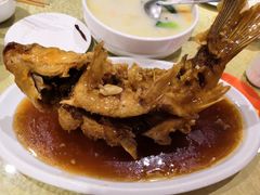 糖醋鲤鱼-春江饭店(共青团路总店)