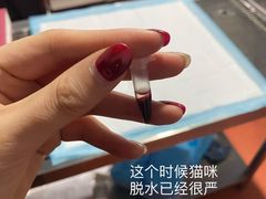 -宠颐生贝利健动物医院(谢家湾分院)