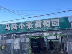 -马陆小张葡萄园农家乐