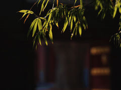-西安市广仁寺