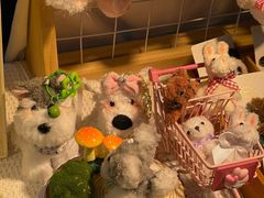 -西安电影制片厂