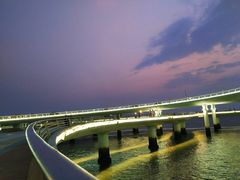 -演武大桥观景平台