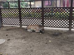 -北戴河集发农业梦想王国