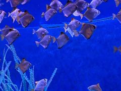 -沈阳海洋探索中心