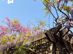 -龙华寺