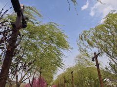 -南北湖风景区