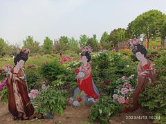 -曹州牡丹园