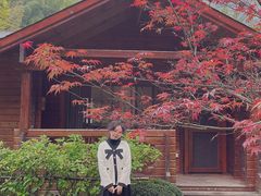 -宁波余姚老柿林山居度假村