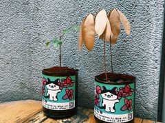 -无牌咖啡&酒馆