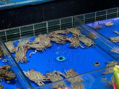 -永红源啤酒·烧烤·海鲜·大排档(青特城店)