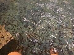 -东方之珠洗浴休闲广场(大港店)