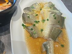 -1937青岛老味道·海肠捞饭·青岛菜(大鲍岛栈桥店)