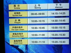 -上海海洋水族馆