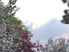 -海棠花溪(元大都城垣遗址公园)