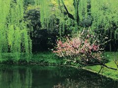 -柳浪闻莺公园