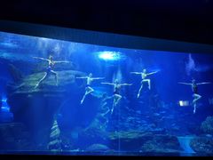 -多彩贵州城极地海洋世界