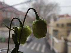 -不舍昼夜咖啡馆