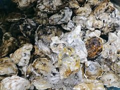 -鑫渔港海鲜本地菜·山海关浑锅(东戴河店)