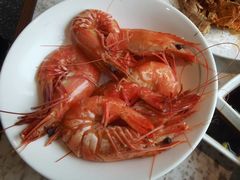 金刚虾-津门小红坊海鲜·海胆饺子(滨海开发区店)