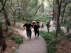 -杭州黄龙洞