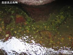 -小五台金河景区