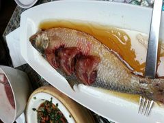 酒糟鲥鱼-走马楼饭庄(慈城古县城店)