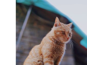 贵阳黔灵山公园购物-大众点评网