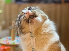 -白兔子密室(长寿路店)