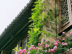 -芥子园