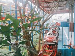 -南湖梦幻岛