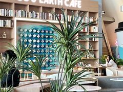 -抱抱地球咖啡馆(国家海洋博物馆店)